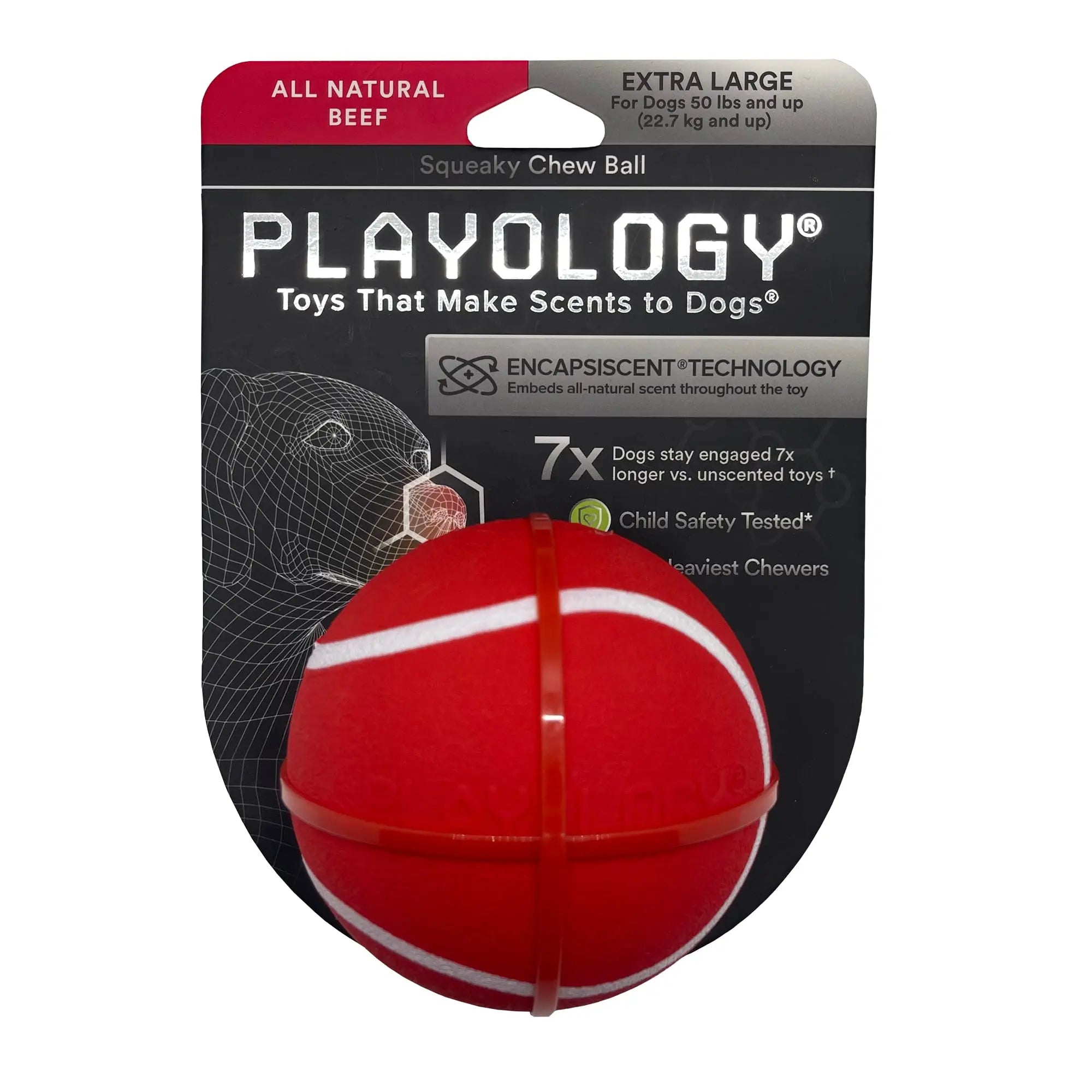 Playology Dental Chew Ball Dog Toy Pork Sausage Medium