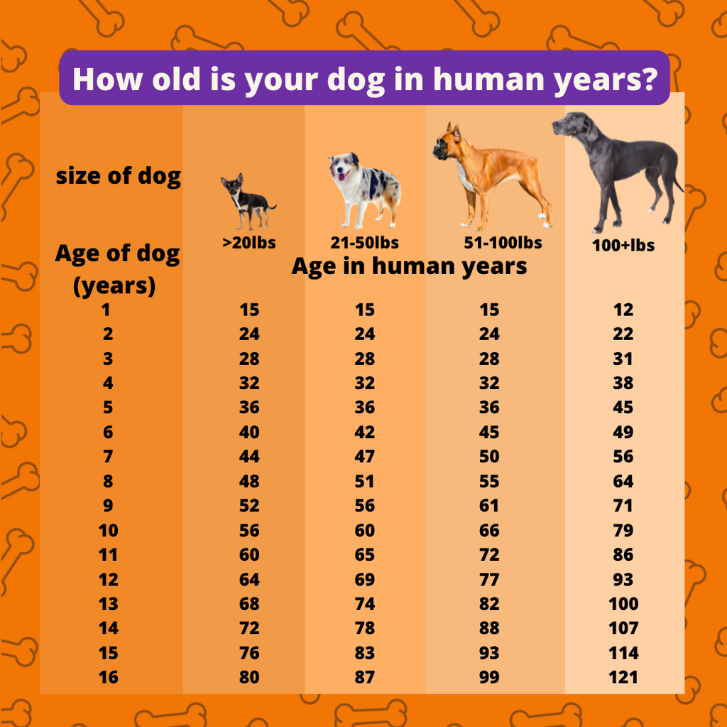 Dog Years Chart Dog Years Chart, Dog Years, Dogs And, 59% OFF