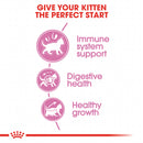 Royal Canin Feline Health Nutrition Kitten Dry Cat Food, 7 Lbs. Bag