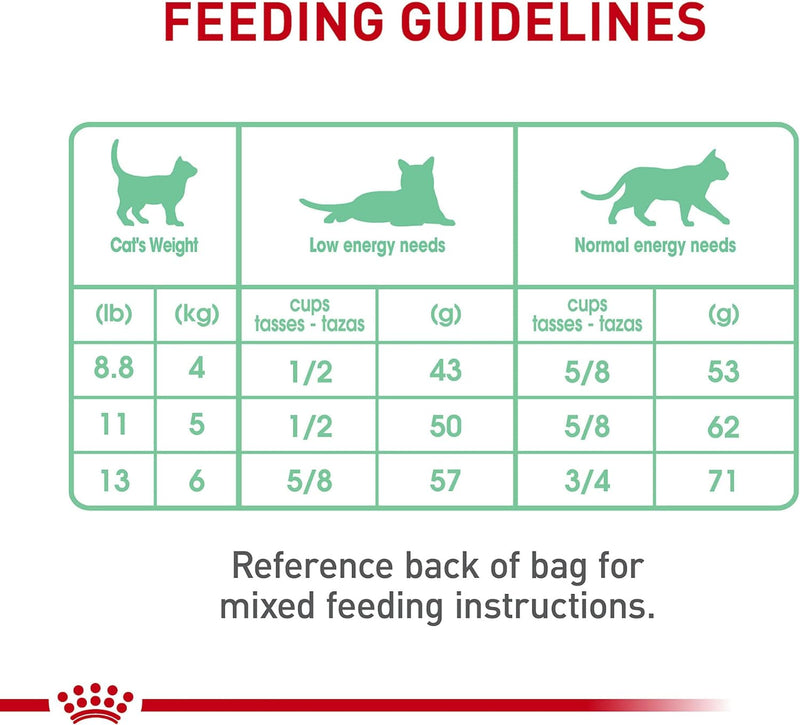 Royal Canin Digestive Care Dry Cat Food, 6 Lb Bag