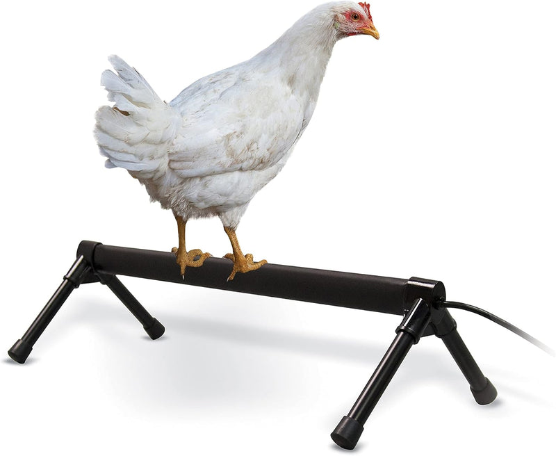 K&H Pet Products Thermo-Chicken Heated Perch Gray 26" 40W