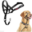 The Company of Animals Halti Headcollar  for Dogs, Black, 3-Size