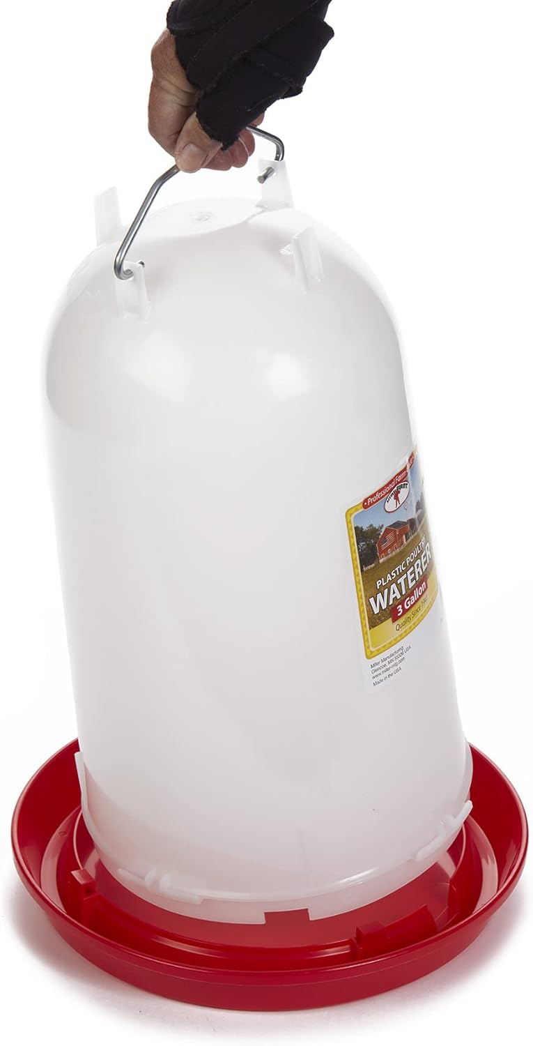 Little Giant Plastic Poultry Chicken Drinker 3 Gallon