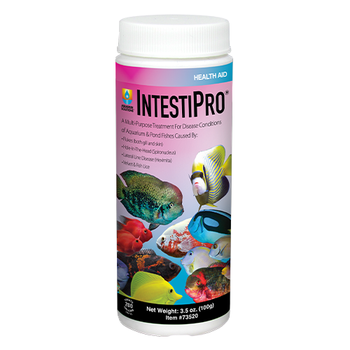 Hikari IntestiPro for Aquarium 3.5oz.