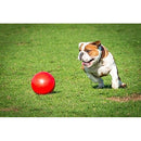 The Company of Animals Dog Boomer Ball, Large, Assorted Color
