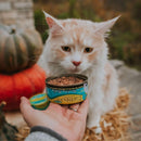 Earthborn Holistic Monterey Medley Grain-Free Moist Cat Food 5.5 oz. Single Can
