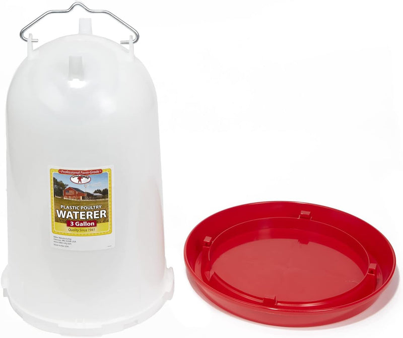 Little Giant Plastic Poultry Chicken Drinker 3 Gallon