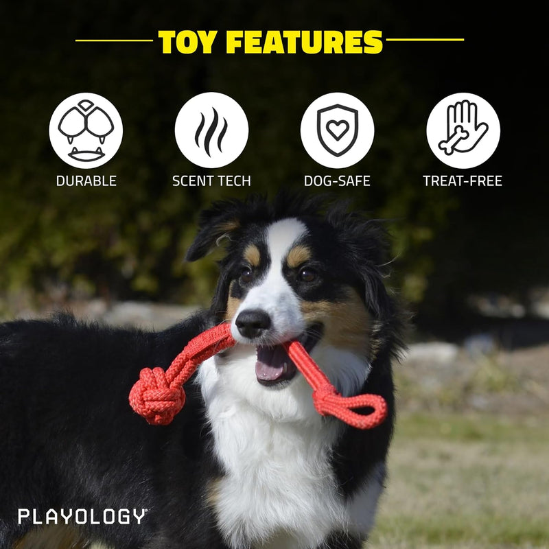 Playology Puppy Tough Knot Tug Toys with Squeaker for Puppies Up to 60lbs, Beef