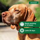 Advantage II Flea Prevention and Treatment 21-55 lbs. 4-Month Supply