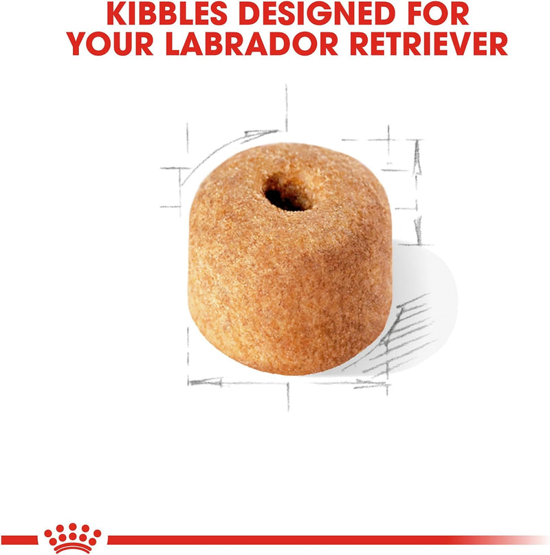 Royal Canin Labrador Retriever Adult Dry Dog Food, 30 Lb Bag