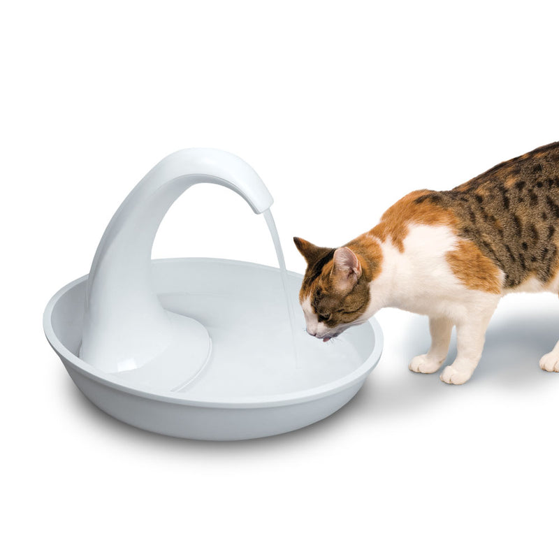 Pioneer Pet Swan Plastic Drinking Fountain 80 oz.