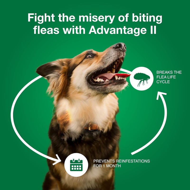 Advantage II Flea Prevention and Treatment 21-55 lbs. 4-Month Supply