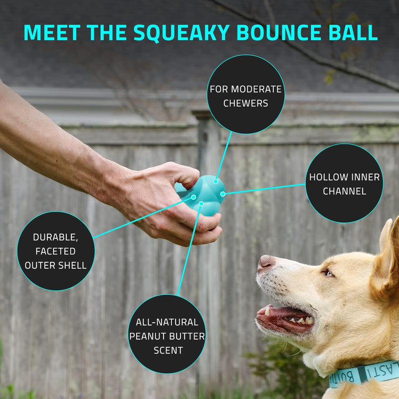 Playology Silver - Dental Chew Ball Dog Toy, Designed for Large Breed  Senior Dogs (35lbs and Up) - Engaging All-Natural Pork Sausage Scent -  Non-Toxic