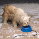 API Plastic Heated Pet Bowl 1 Quart, Blue 2-Pack