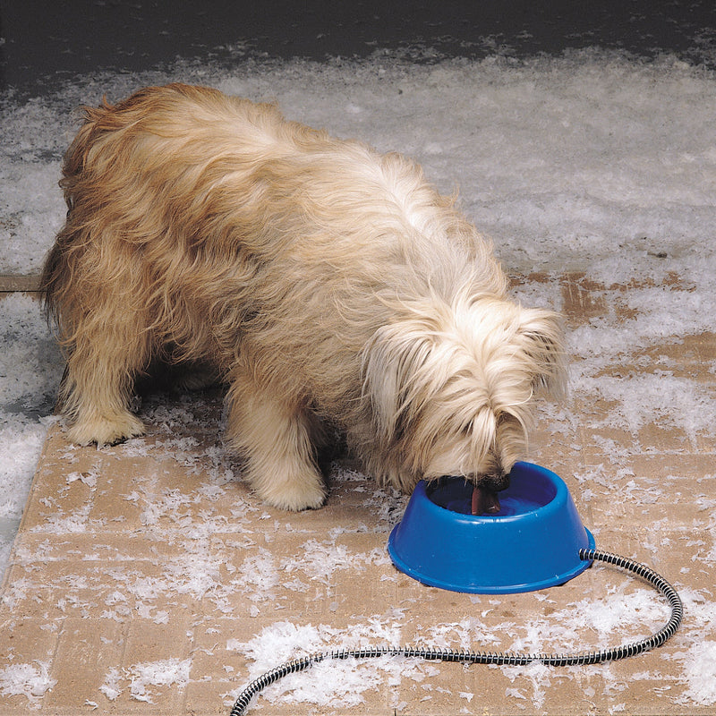 API Plastic Heated Pet Bowl 1 Quart , Blue