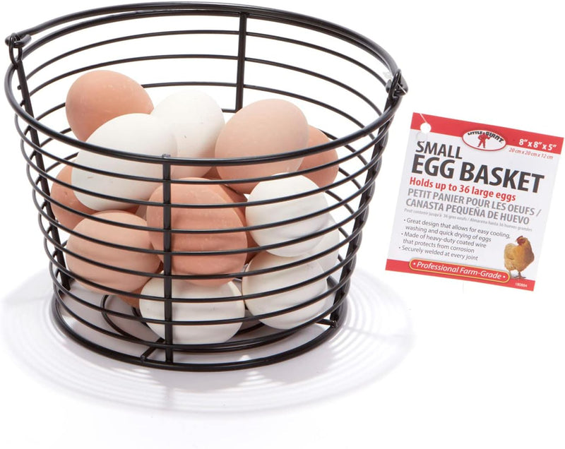 Little Giant Small Egg Basket for Carrying and Collecting Chicken Eggs 3PCK