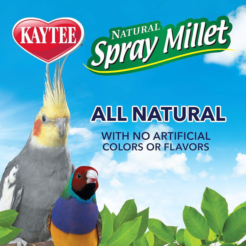 Kaytee Spray Millet for Birds 7 oz. 2-Pack