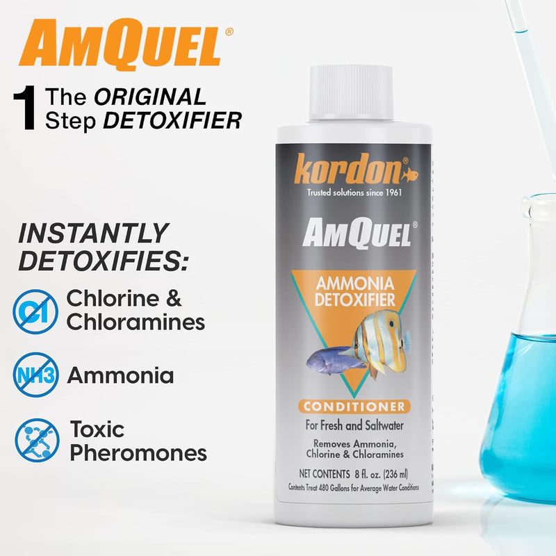 Kordon Amquel Removes Ammonia Detoxifier Conditioner 8 oz. 3-Pack