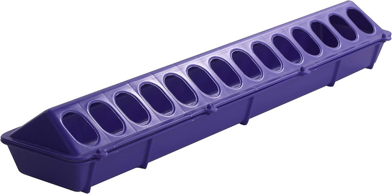 Little Giant Flip-Top Poultry Ground Feeder 20-Inch, Purple 2-Pack