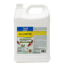 API Pond Algaefix Algae Control Solution 1 Gallon API