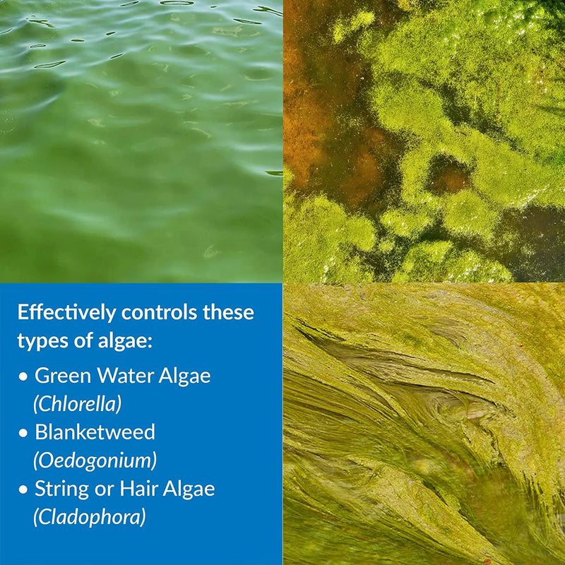 API Pond Algaefix Algae Control Solution 1 Gallon API