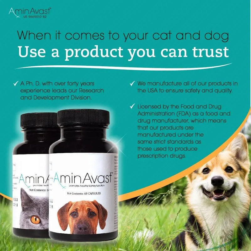 AminAvast Healthy Kidney Function for Cats and Dogs 60 Capsules 1000mg AminAvast