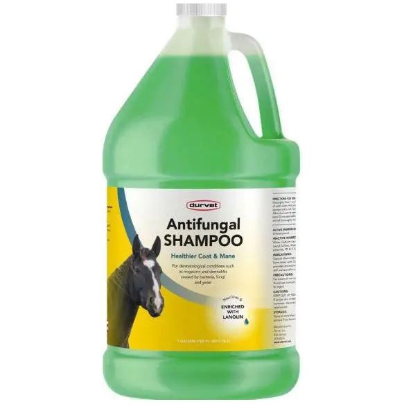Durvet Antifungal Equine Shampoo Durvet
