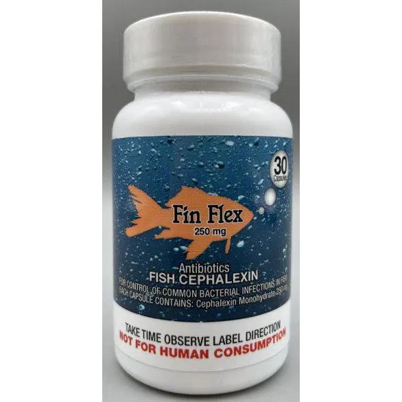 Fishbiotic amoxicillin 250mg