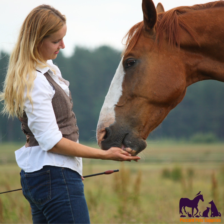 Exodus Horse Paste with The German Minty Muffin Free Treats