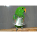 KVP Elizabethan Bird Saf-T E-Collar Avian Cone Neck Collar KVP