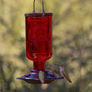 More Birds Red Elixir Hummingbird Feeder, 13 oz. More Birds