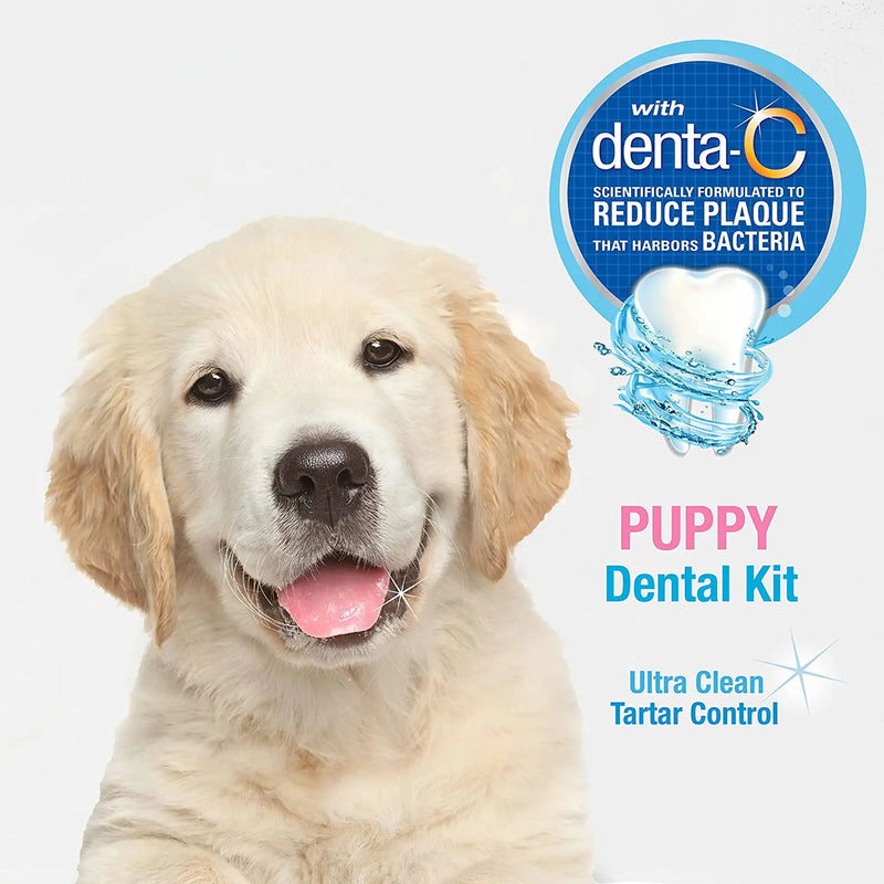 Nylabone Advanced Oral Puppy Dental Kit, Original Flavor Nylabone