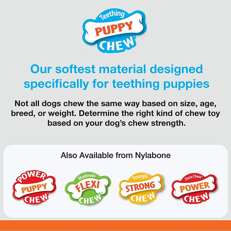 Nylabone Dental Dino Puppy Chew Toy, Regular Nylabone