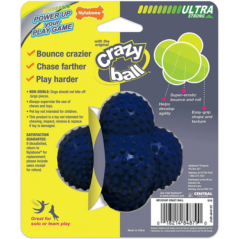 Nylabone Power Play Crazy Ball Dog Toy, Blue Large Nylabone