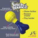 Nylabone Power Play Fetch-A-Bounce Interactive Dog Toy, 5-Inch Nylabone