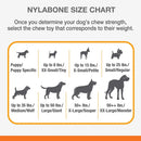 Nylabone Puppy Chew Freezer Dog Bone Toy, Small/Regular Nylabone
