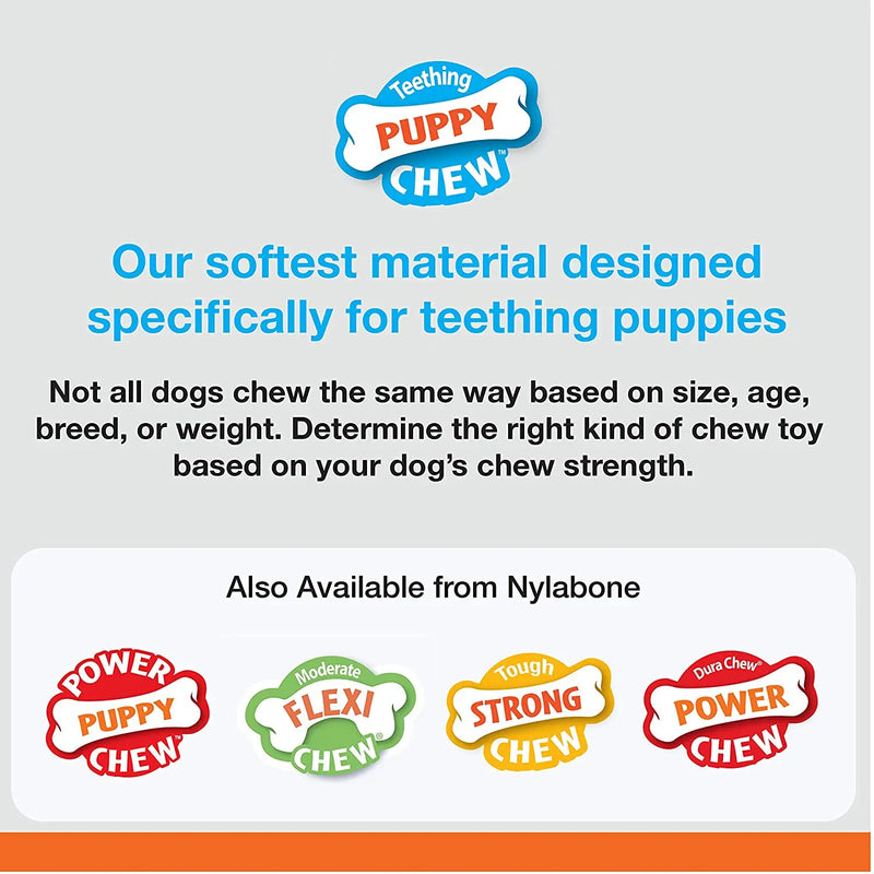 Nylabone Puppy Power Axis Bone Nylon Chew Toy Vanilla Flavor, Reg Nylabone