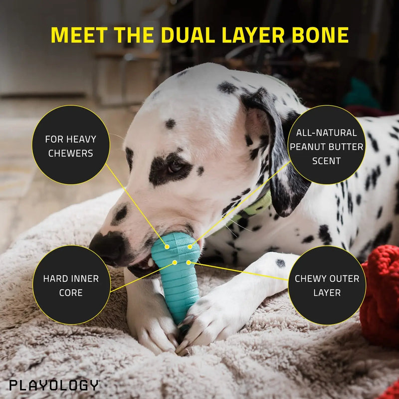 Playology Dual Layer Bone Dog Toy Peanut Butter Scent, Medium PLAYOLOGY