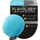 Playology Plush Squeaky Ball Dog Toy for Moderate Chewers, Large PLAYOLOGY