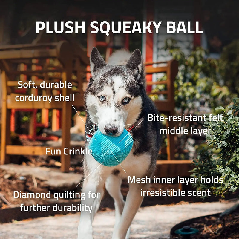Playology Plush Squeaky Ball Dog Toy for Moderate Chewers, Large PLAYOLOGY