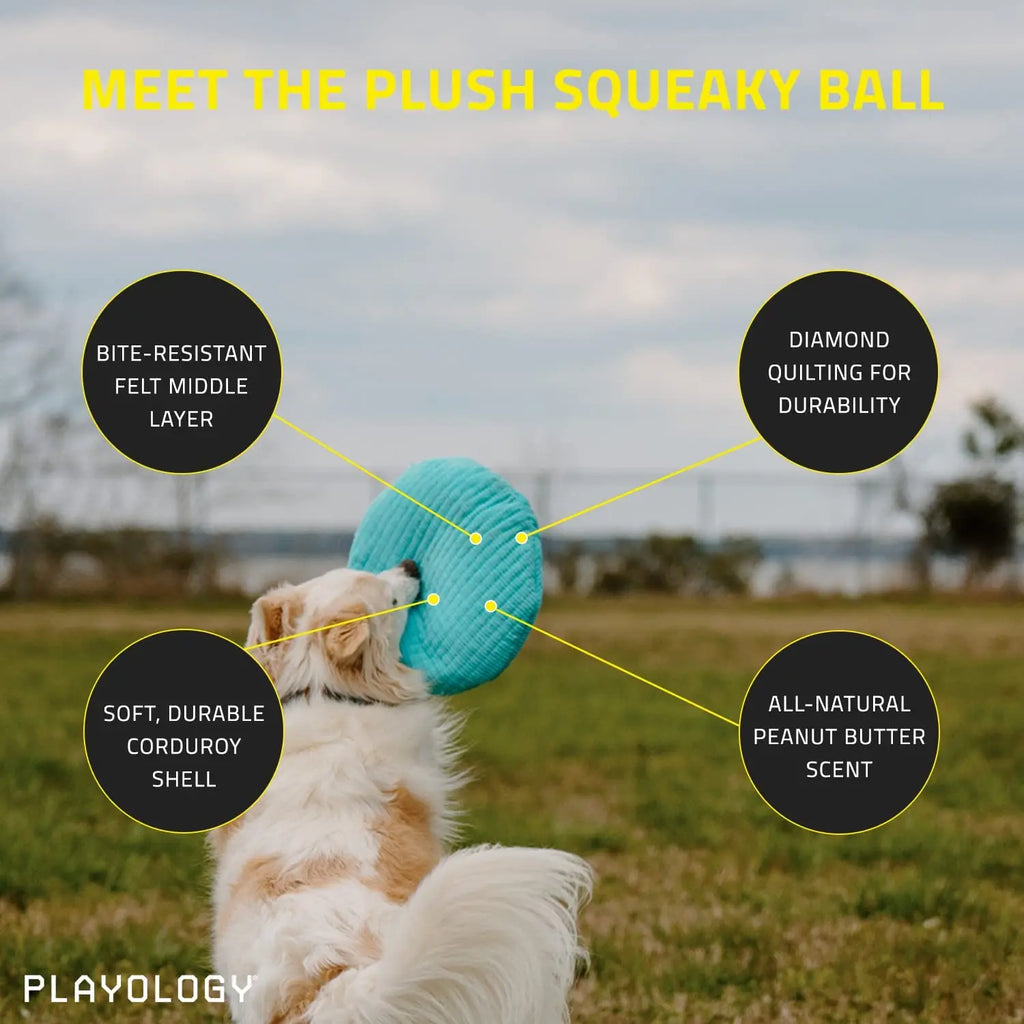 https://piccardpets.com/cdn/shop/files/Playology-Plush-Squeaky-Ball-Dog-Toy-for-Moderate-Chewers_-Medium-PLAYOLOGY-1685113435_1024x.jpg?v=1685113436