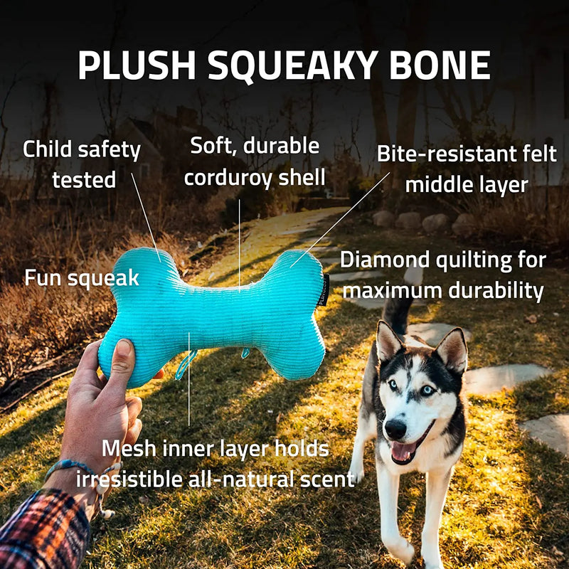 Playology Plush Squeaky Bone Dog Toy All-Natural Beef Scent, LG Playology