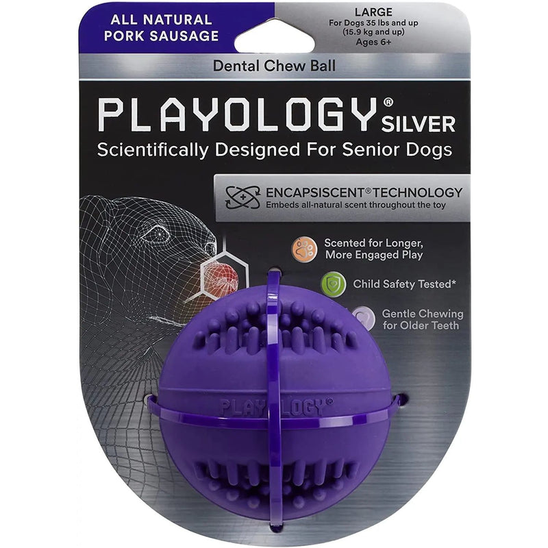 Playology Silver Dental Chew Ball Dog Toy, Large Senior Dogs PLAYOLOGY
