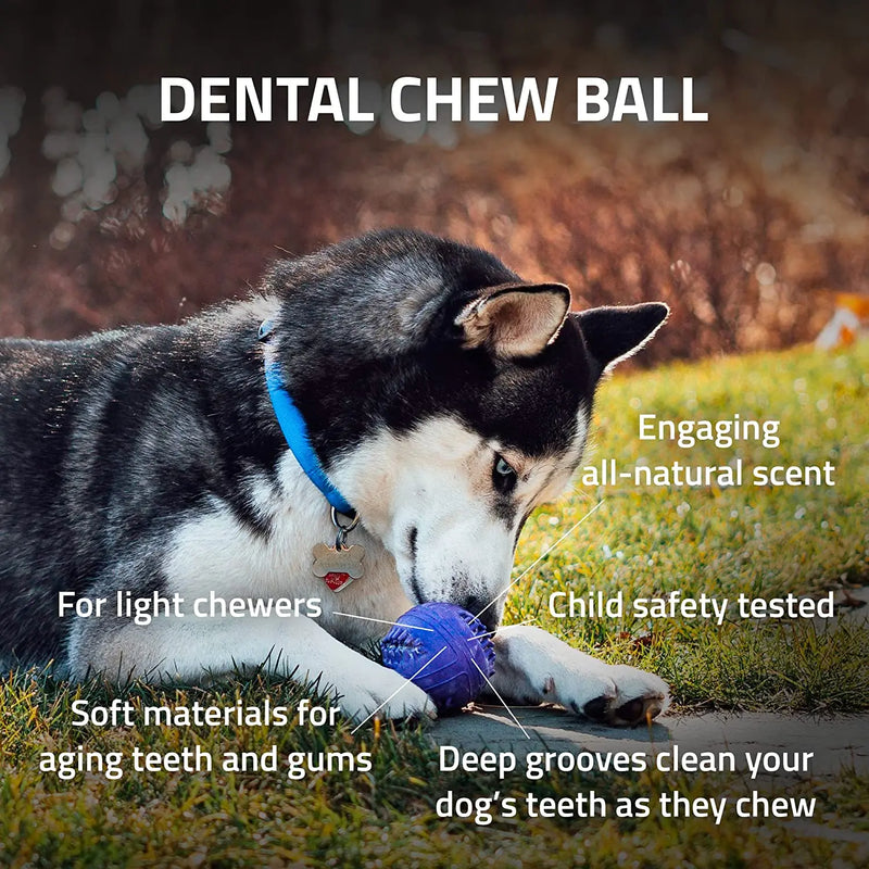 Playology Silver Dental Chew Ball Dog Toy, Large Senior Dogs PLAYOLOGY
