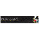 Playology Silver Peanut Butter Scented Dental Chew Stick Dog Toy PLAYOLOGY