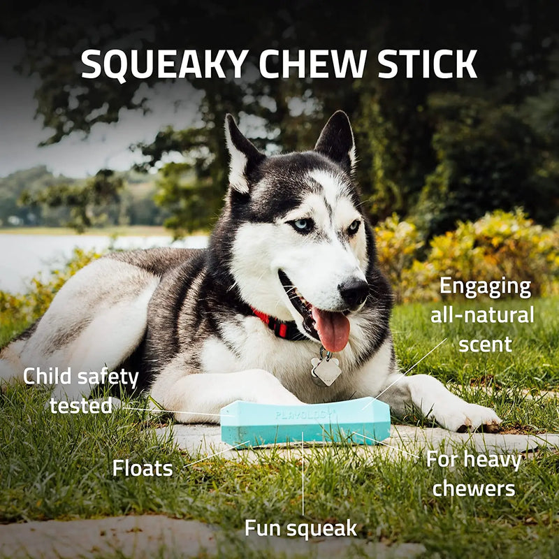 Playology Squeaky Beef Scent Chew Stick Dog Toy, Medium PLAYOLOGY