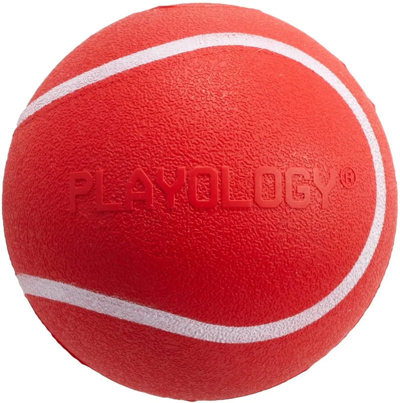 Playology Squeaky Chew Ball Dog Toy Natural Beef Scent, Med/Large PLAYOLOGY