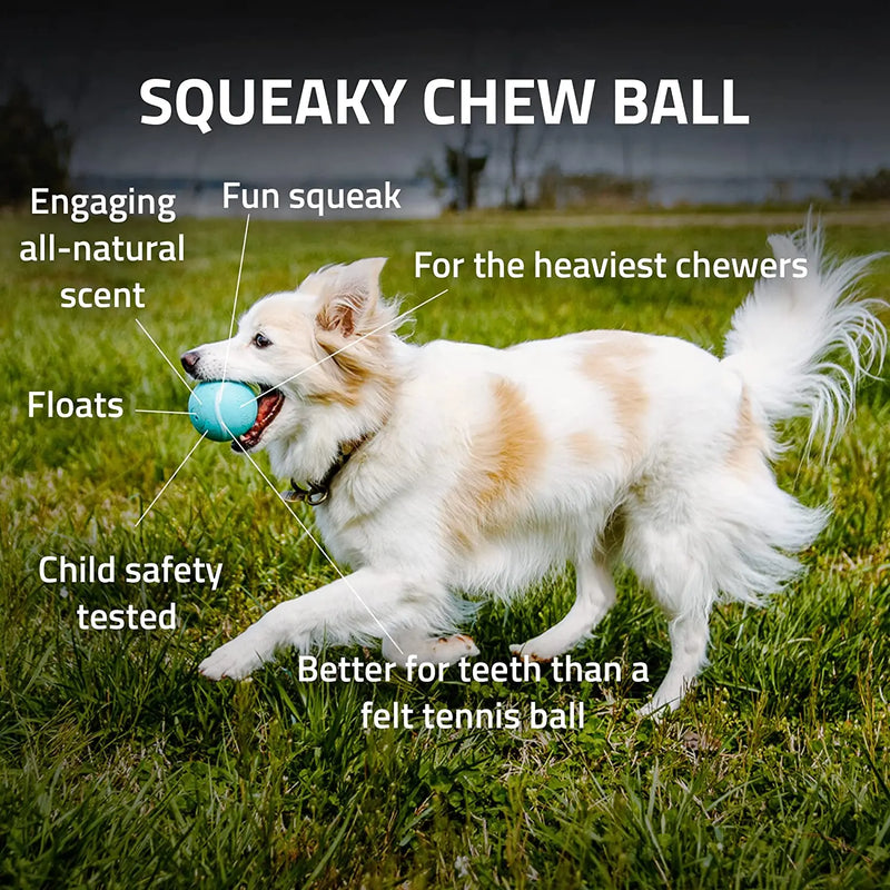 Playology Silver Dental Chew Ball Dog Toy, Medium Senior Dogs