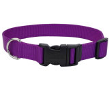 Coastal Adjustable Dog Collar with Plastic Buckle, Purple 3/8" x 8"-12"