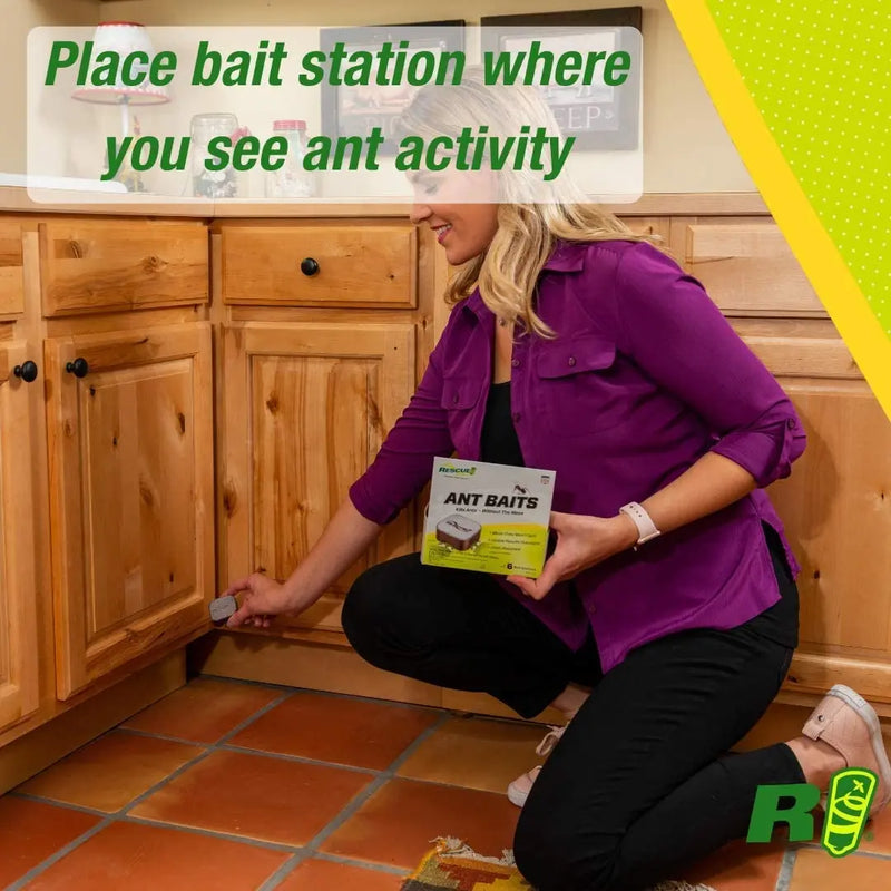 RESCUE! Ant Bait Indoor 4 Bait Stations Rescue!